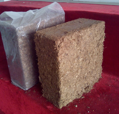 Fibredust Ʋ *Ҭ ר