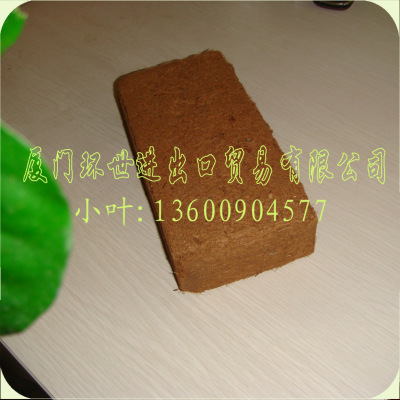 *Ҭ 650Ҭ 5ǧҬ(Ա/Աʹڵ)