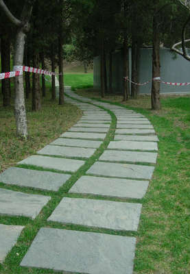 板岩文化石,青石板文化石,天然板岩乱形石,天然板岩蘑菇石厂家
