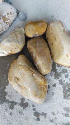 厂家批发销售南京黄木纹石、水洗石 欢迎电话咨询