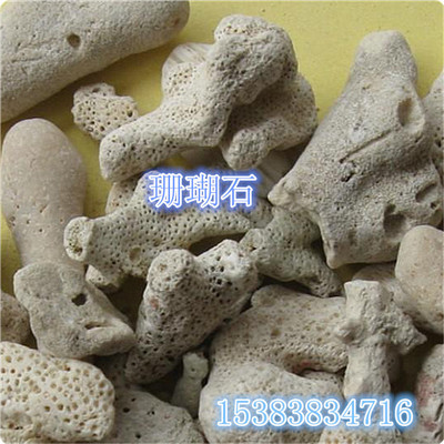 珊瑚石厂家大量批发优质水族珊瑚砂 过滤珊瑚砂 彩色珊瑚砂
