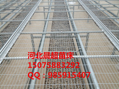 ֲƤʯר紲 紲 ƶ紲