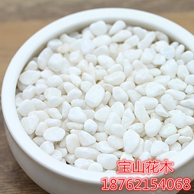 园艺盆栽装饰 水培鱼缸 小白色石头白石子 天然石材鹅卵石料彩石