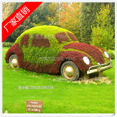 ԰־̵ 廨̳ ̵ֲ ɫ涯ֲ