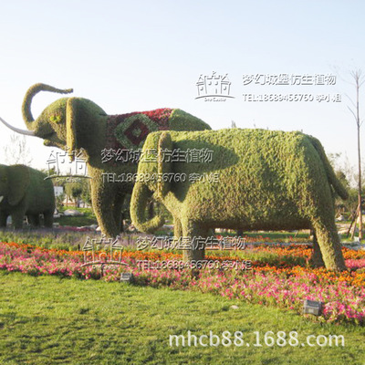 涯 ֲ ԰־̵ ̵ֲ񳧼ֱ