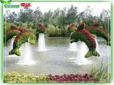 Ҷ̵溣̵ 涯 ԰־۽ ̵