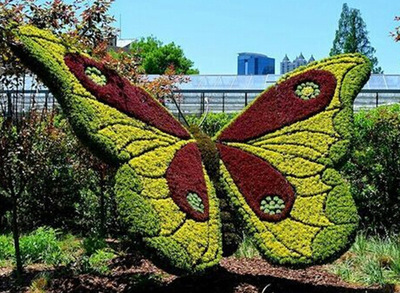 Ҷֲ﹤յ ԰̵ ԰̵ֲ