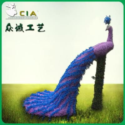  涯 ԰־۵ ֲ ֲͶ