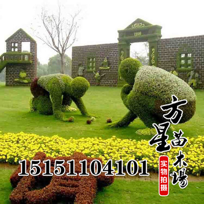 ̵ֲ͵ܳרҵ̵ ӭ