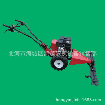 ԰ֹʽݻ ֳʽݻ ƺ޼