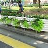 PVC道路隔离花箱5+4组合花箱