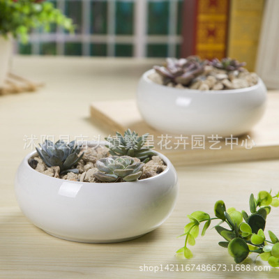 批发陶瓷多肉圆缸形收口花钵盆栽花盆 16cm大花钵花盆77#