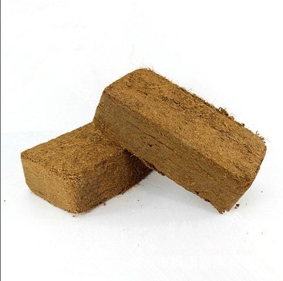 Ҭש ҬҬש ޾ѹҬ ѿר Ҭ650g
