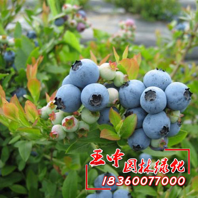԰ִݮݮϷȷɻ