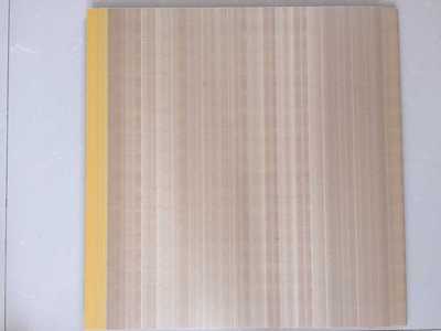 江阴青阳宝砾橡塑制品厂 发泡木塑生态墙板400mm 集成墙面