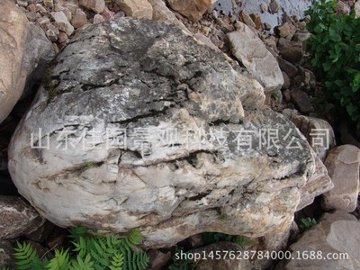 佳园景观塑石仿木树桩塑石