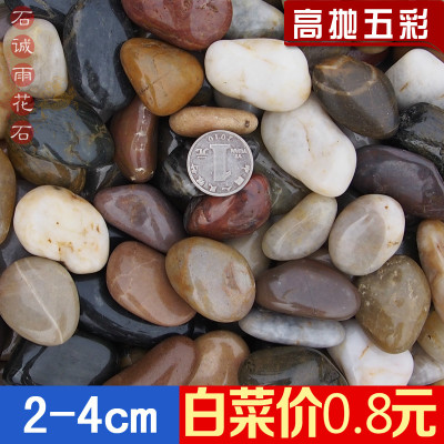 特*高抛五彩石大小鹅卵石雨花石铺路家装鱼缸造景石彩色石头2-4