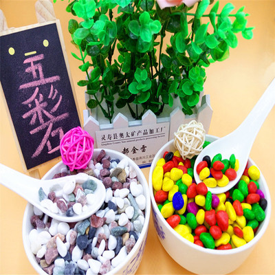 铺面鹅卵石头 五彩石子 天然鹅卵石 鱼缸用五彩石