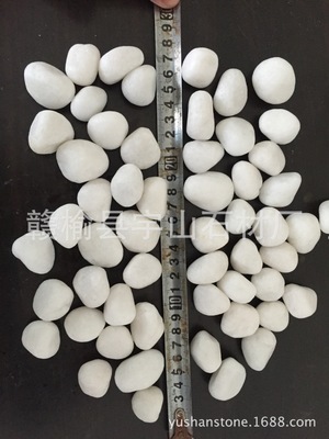 白色鹅卵石 别墅公园工程造景必备 优质白玉 尺寸* 厂家直销