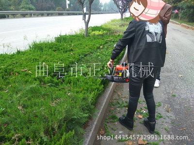 ZLĤƬʽ ޼ ˫޼