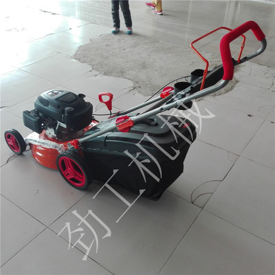  ĳ6ƺݻ޼ Ǯ 