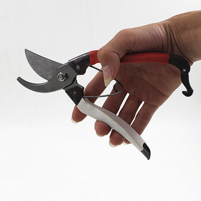 F659 ÷ӹ֦޼ ޽ժ԰԰չ߼ ֦
