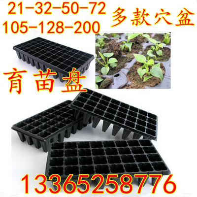育苗盘加厚 营养钵塑料穴 多肉花卉绿植育苗盆 蔬菜播种育苗盘