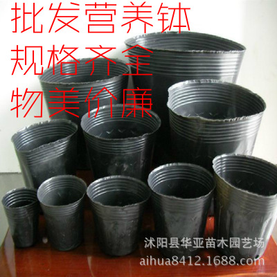 批发加厚防老化营养钵 营养杯 育苗袋 黑色营养袋 育苗杯塑料花盆