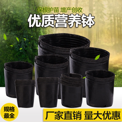 批发营养钵花卉育苗营养杯黑色塑料苗木营养袋厂家直销特价