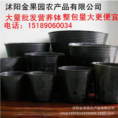 营养钵批发优质营养杯加厚黑色塑料育苗盆育秧杯育苗袋厂家直销