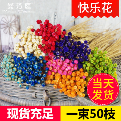 ֻ Ȼɻ廨diy滨յ