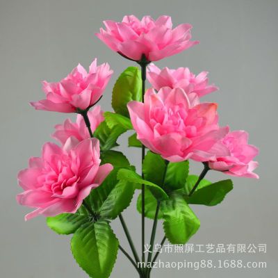 ڷ滨Ұٻ7ͷҩСѻ