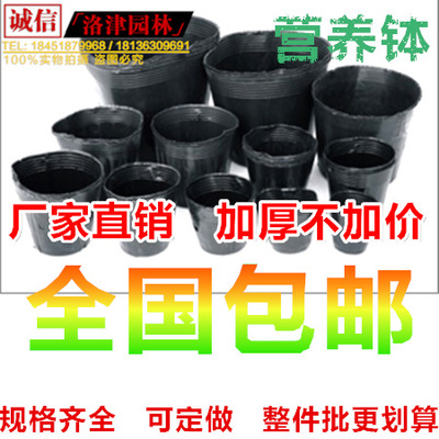 厂家批发育苗袋 营养钵 营养袋 营养杯 塑料 替代花盆 育苗盆