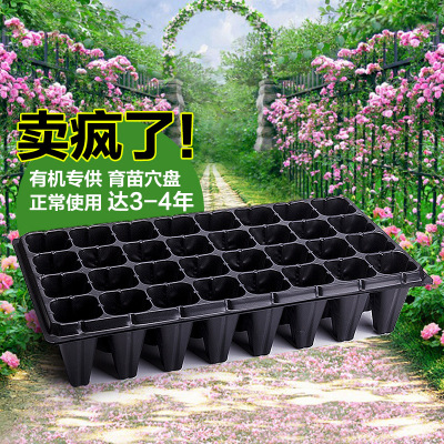 锦绣优质PS材质苗木穴盘育苗容器穴盘营养钵多孔育苗盘林木育苗盘