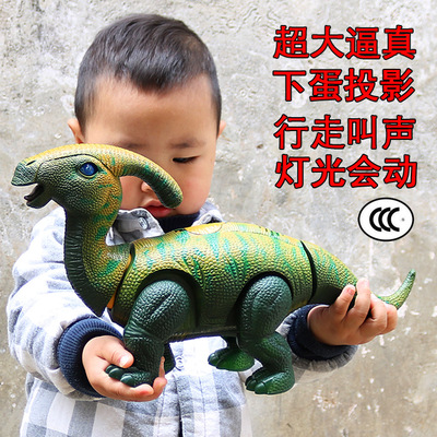 ŵ綯µͶӰģ ƹк