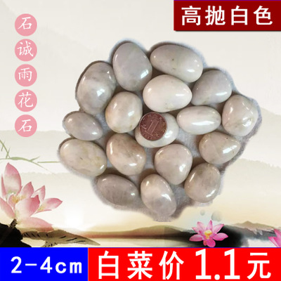 特*精抛鹅卵石雨花石子铺路石家装石按摩石鱼缸石头白色2-4cm