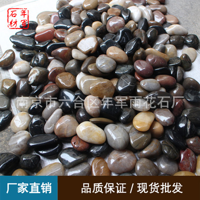 批发南京精品高光五彩石鹅卵石园林雨花石家装材料景观道路鹅卵石