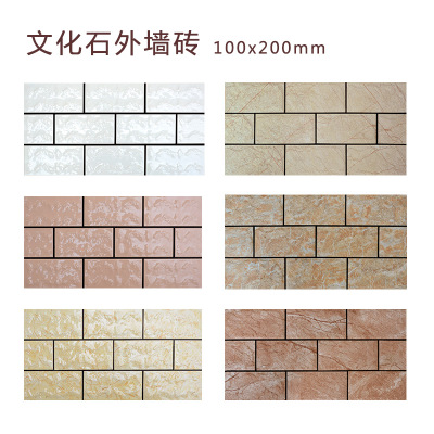 别墅外墙瓷砖100*200 通体外墙砖优质文化石 佛山厂家批发外墙砖