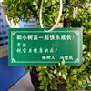 浙江反光膜树牌4