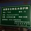 浙江金属铝板树牌17信息