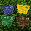 树牌 PVC板塑塑料板树木标识牌2报价/浙江树牌 PVC板塑塑料板树木标识牌2报价