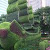 四川仿真植物绿雕 内江仿真植物雕塑 成都仿真造型 假植物雕塑
