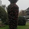 成都景观雕塑厂家 四川仿真植物造型 成都仿真造型 假植物绿雕