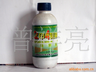 24γݼ