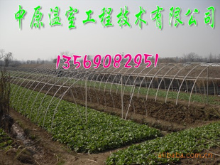 ֧ Ǽܻ
