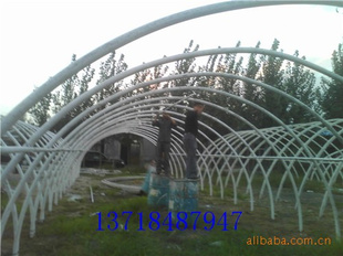 Դ֮2011ƳȫԶҴ