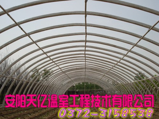 Ǽܻ Ǽ Ҵ ܴ