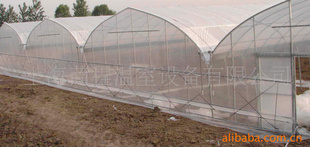 GLW825ңι