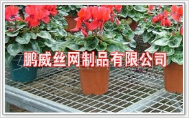 紲ܻ԰