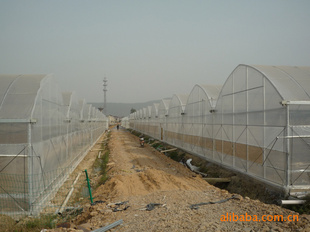GLP-7432